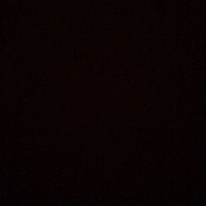 Meet your Posher, Oscar